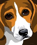 beagle art
